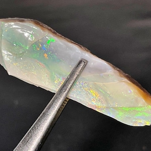 May include: A rough, white opal with iridescent green, blue, and yellow flashes. The opal is being held by a pair of tweezers.