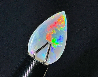 クーバーペディ シェル化石オパール ソリッド - 8.15 カラット