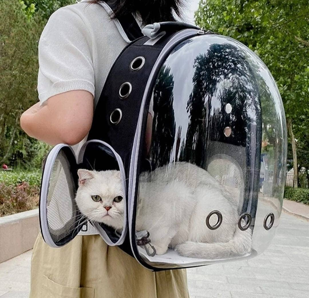 Cat Carrier Bag Hand and Backpack Cat Carrier Bag Apollo11 