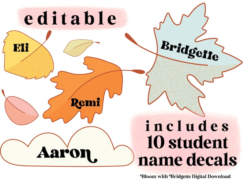 May include: Editable classroom name decals featuring 10 fall-themed leaves with names printed on them. The names include Eli, Bridgette, Remi, and Aaron. The text "includes 10 student name decals" is printed in black on a pink background.