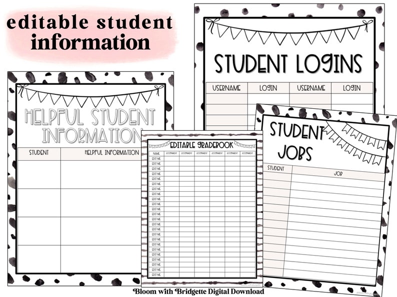 Editable Substitute Binder, Daily Subbing, Maternity Leave Binder, Long Term Substitute Binder, Classroom Management Printable image 8