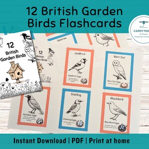 May include: A set of 12 printable flashcards featuring illustrations of British garden birds, including a sparrow, goldfinch, barn owl, starling, and blackbird. Each card includes the bird's name, a drawing of the bird, and a nest with eggs. The cards are designed for use with playdough.
