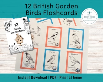 Printable Bird Flashcards |  Homeschool Printable | Preschool Activities | Instant Download | Home Education | Nature Study | British Birds