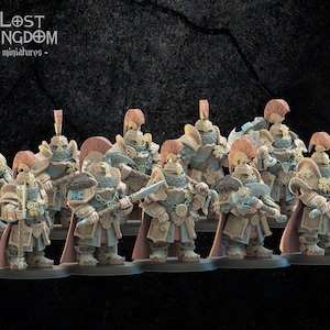 Guardia Magyabor, miniature del Regno Perduto