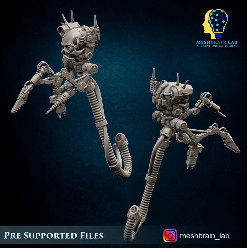 Skulls, Meshbrain Lab - Etsy