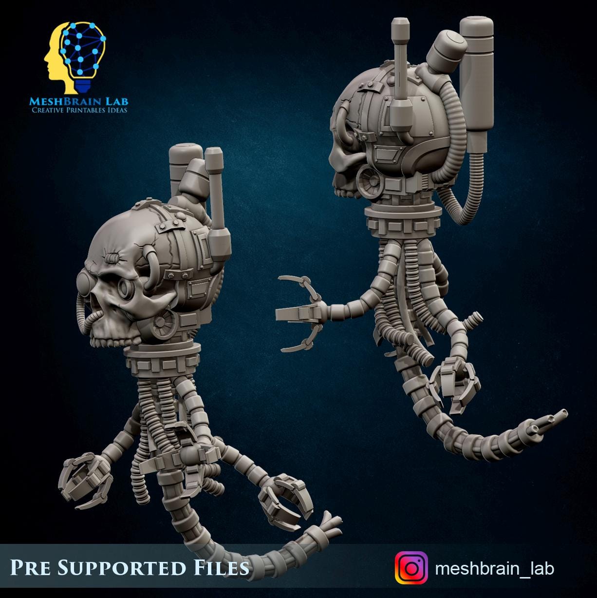 Skulls, Meshbrain Lab - Etsy