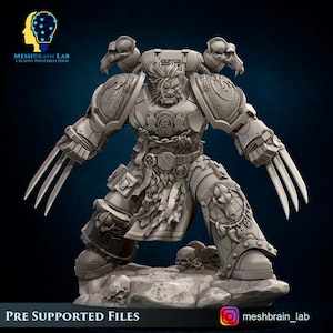 Söhne des Aesir-Champions, MeshBrain Lab