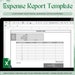 see more listings in the Expense Report Template section