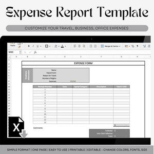 Expense Report Template, T&E, Business Expense Tracker Spreadsheet, Employee Reimbursement, Excel Template, Expense Account Form, Travel Log image 2