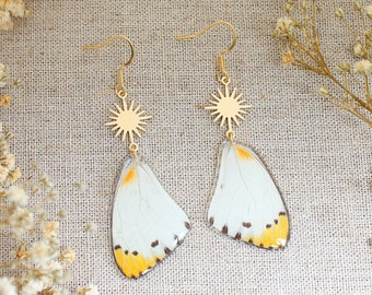 Dotted Border Butterfly Wing Earrings, Real Butterfly Wing Jewellery, Statement Earrings, Gold Suns, Sustainably Sourced, Entomology Gift