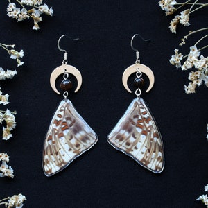 Savannah Charaxes Butterfly Wing Earrings, Real Butterfly Wing Jewellery, Statement Earrings, Silver Moons, Sustainably Sourced, Insect Gift