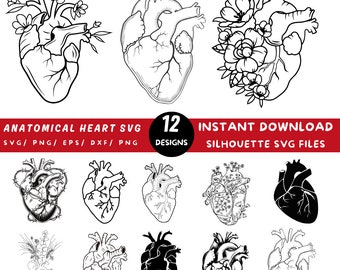 Anatomisch hart SVG-bundel: bloemen menselijk hartontwerpen (digitale download)