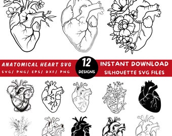 Anatomical Heart Svg Bundle, Flower Heart Svg, Human Heart Svg, Anatomy Svg, Heart SVG, Cardiology Svg, Heart Svg, Heart Svg Bundle