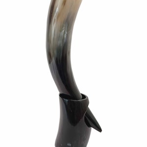 Könnte beinhalten: Ein gebogenes Trinkhorn aus Naturhornmaterial mit einem dunkelbraunen Sockel und einer helleren, hellbraunen Spitze. Das Horn wird in einem schwarzen, dekorativen Ständer gehalten. Das Horn ist zum Trinken bestimmt.