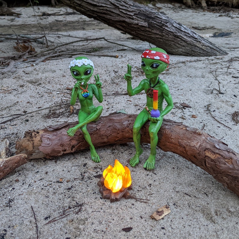 K&ouml;nnte beinhalten: Zwei gr&uuml;ne Alien-Figuren mit Friedenszeichen und Blumen auf dem Kopf sitzen auf einem Baumstamm am Lagerfeuer. Das Alien links h&auml;lt eine Friedenspfeife und das Alien rechts h&auml;lt eine Glasbong.