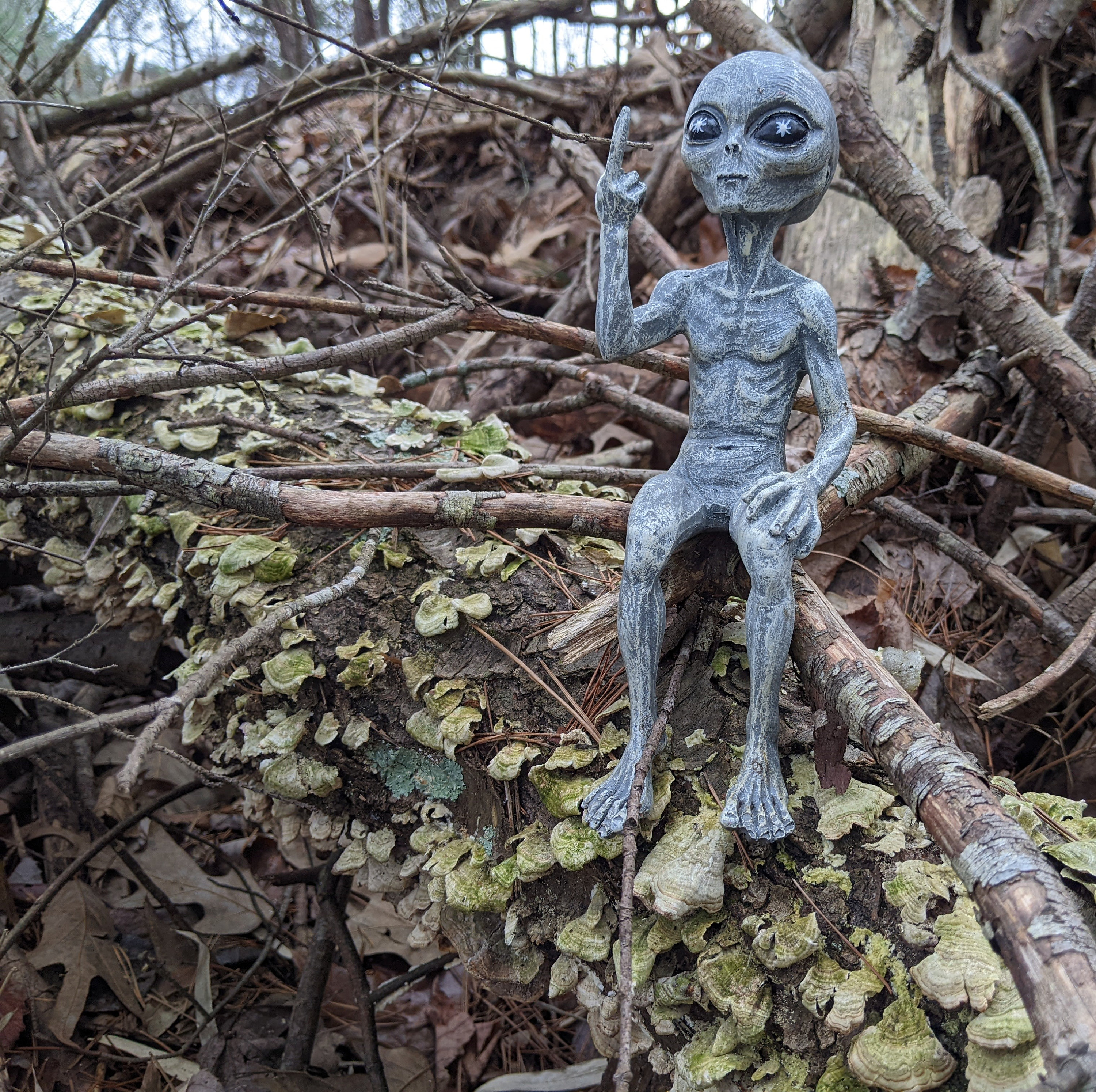 Rude Alien Statue “flipping the Bird” 10″ H Shelf Sitter