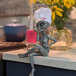 May include: A gray alien figurine wearing a white chef's hat with the text "Kiss the Cook!" in red. The figurine is sitting on a countertop with a pink object and a vase of flowers in the background.