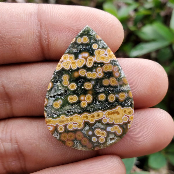 Beautiful River / Obicular jasper cabochon