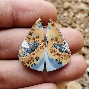 Beautiful Maligano Jasper Pair, Earrings, Cabochon
