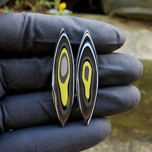 May include: Two teardrop-shaped cabochons with a layered pattern of black, white, gray, and yellow. The cabochons are polished and have a smooth, glossy finish.