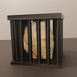 Nicolas in cage - Nicolas Cage 3D - Meme ornament
