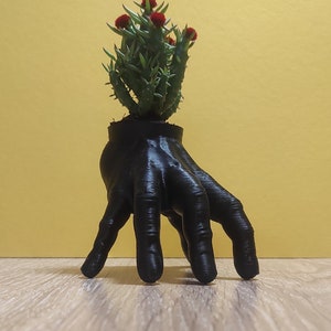 Cache-pot à main, pot pour succulentes, différentes tailles