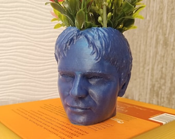 The Dwight Schrute Planter For House Plants and Succulents