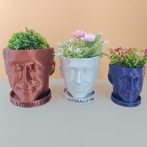 Ryan Gosling Planter For House Plants and Succulents - 3D printed - 20 colors - Pencil holder