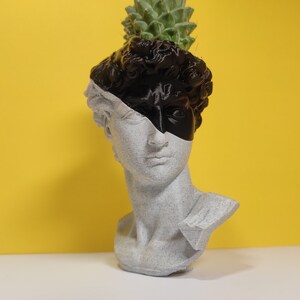 Puede incluir: Un busto de yeso blanco de un hombre con la mitad de la cara pintada de negro. Una planta suculenta verde crece en la parte superior del busto.