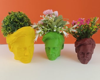 Jim Carrey Planter For House Plants and Succulents - 3D printed