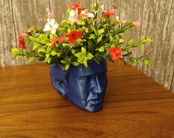 The Nicolas cage Planter For House Plants and Succulents