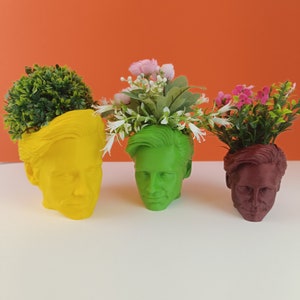 Puede incluir: Tres macetas coloridas con forma de cabeza humana, cada una con un color de pelo y rasgos faciales diferentes. Las macetas están llenas de plantas verdes y flores.