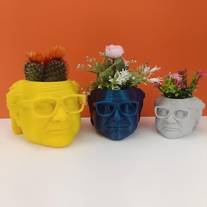 Danny DeVito Planter: Frank Reynolds, 3D Gedruckter PLA Sukkulententopf