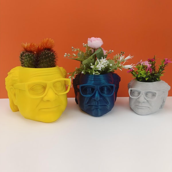 Danny DeVito Planter For House Plants and Succulents - Pencil holder - Frank Reynolds - 3D printed - 20 colors