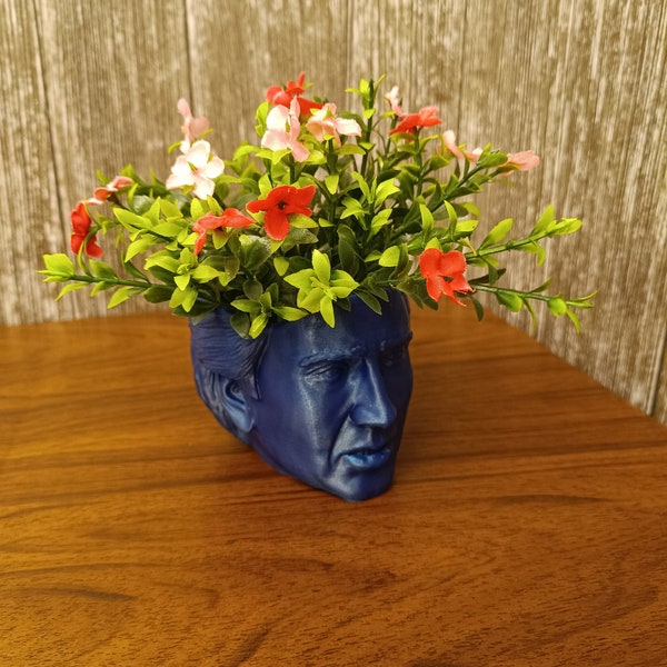 The Nicolas cage Planter For House Plants and Succulents