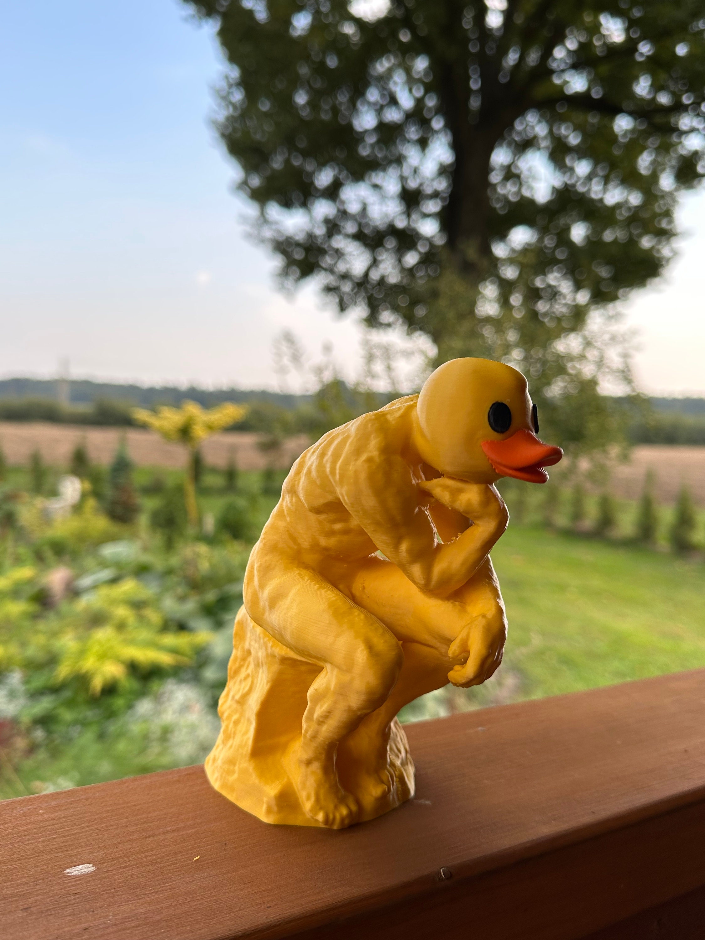 Quacker The Quacker Statue - the Thinker - Etsy