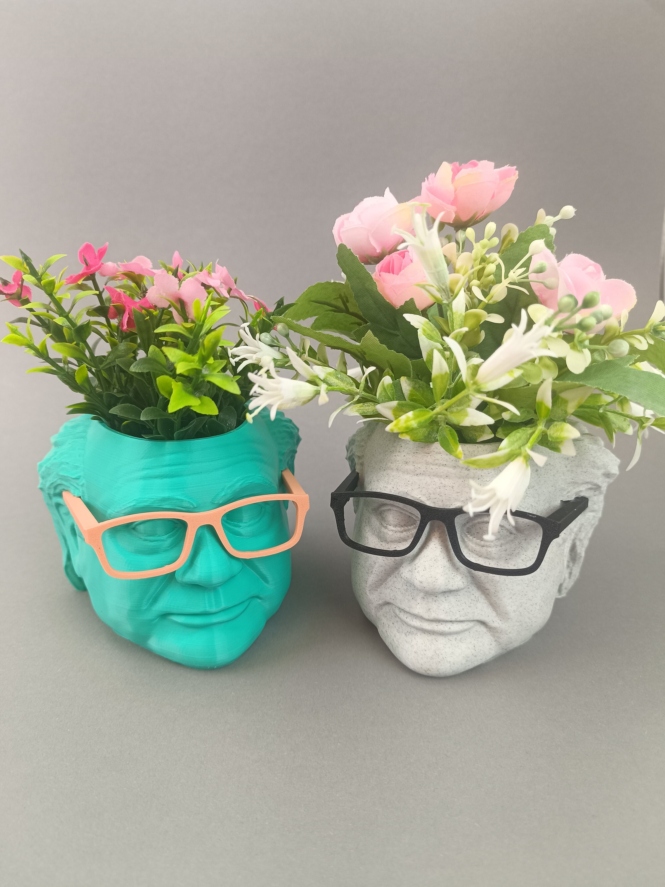 Danny DeVito Multi Color Planter For House Plants and Succulents - Frank Reynolds - 3D printed - 20 colors - Pencil holder