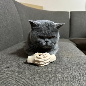 Arms for cats, cute cat costume prop, gift idea for animal lovers, social media cats, 3D printed, gag gift, gift for him or her