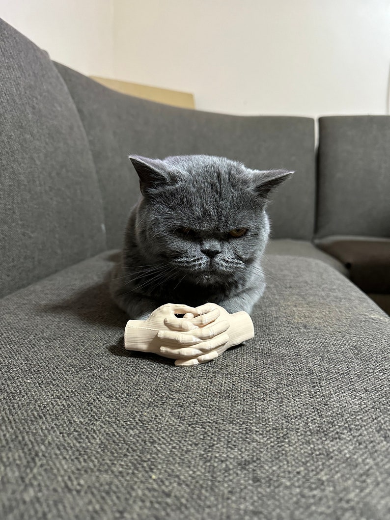 Arms for cats, cute cat costume prop, gift idea for animal lovers, social media cats, 3D printed, gag gift, gift for him or her