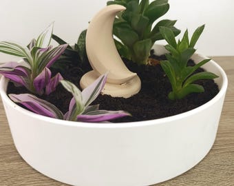 Custom Garden Planter | Succulent Bowl with Custom Center Piece | Moon, Sun & More | Personalized Plant Decor | Cactus Planter