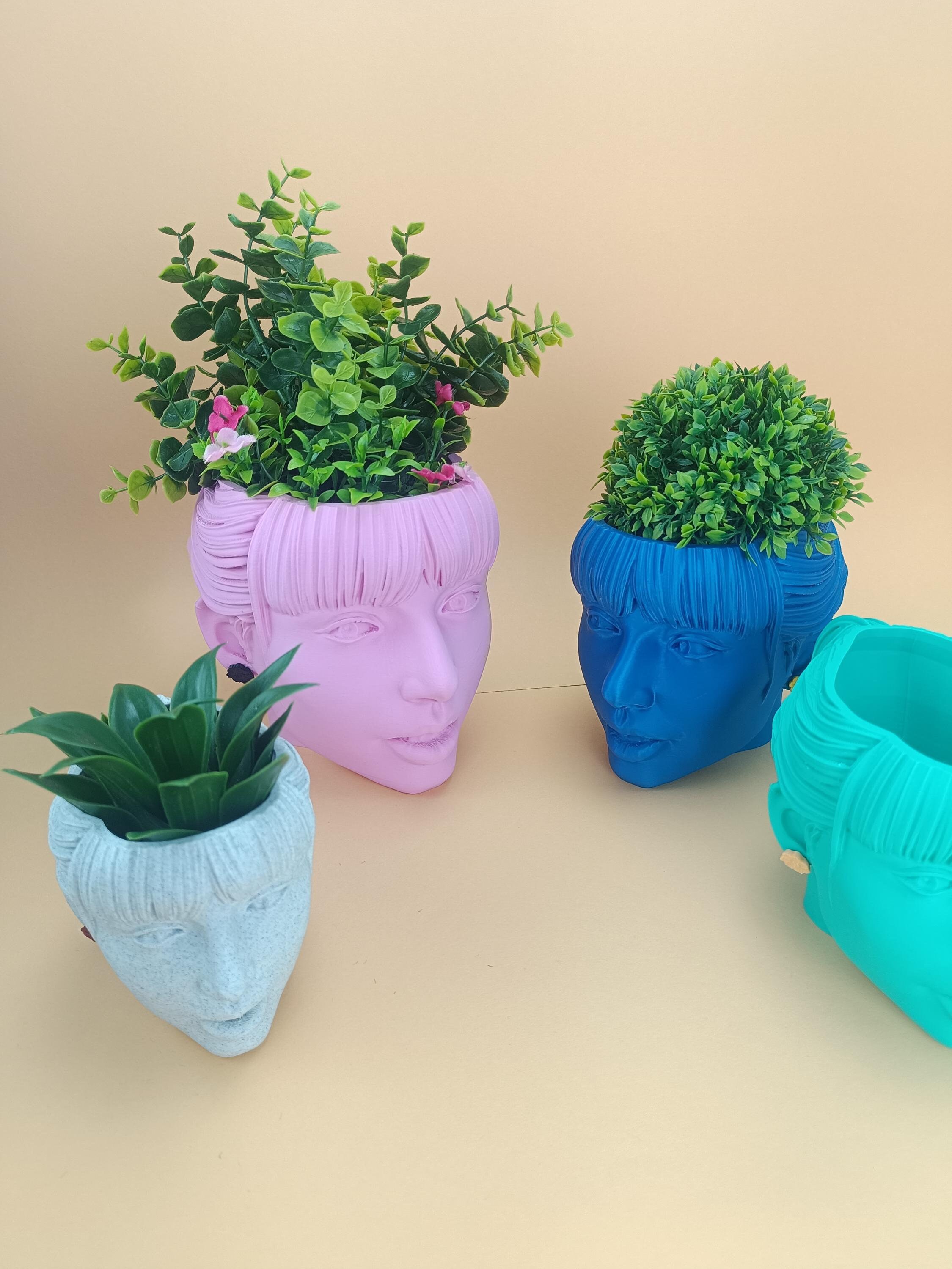 Cosplay Life Oddish Übertopf Mit Sockel - Sukkulenten Topf, 6,3 Cm