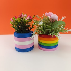 Può includere: Due piccole piante in vaso con fiori artificiali. La pianta a sinistra ha fiori rosa ed è in un vaso a strisce blu, bianco e rosa. La pianta a destra ha fiori rosa e bianchi ed è in un vaso a strisce arcobaleno.