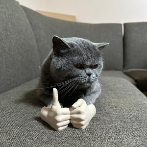Arms for cats, cute cat costume prop, gift idea for animal lovers, social media cats, 3D printed, gag gift, gift for him or her
