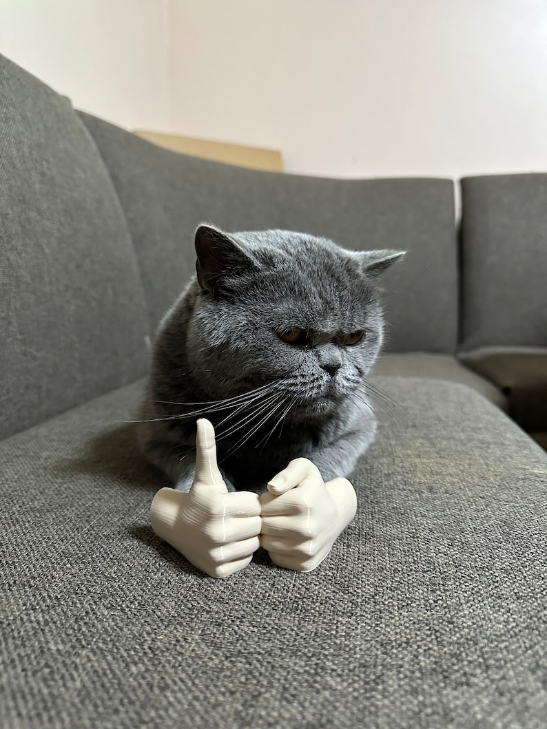 Arms for cats, cute cat costume prop, gift idea for animal lovers, social media cats, 3D printed, gag gift, gift for him or her