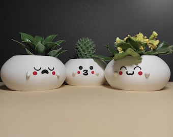 Kawaii Bao Bun 3D Printed Planter: Succulent Pot, Pencil Holder