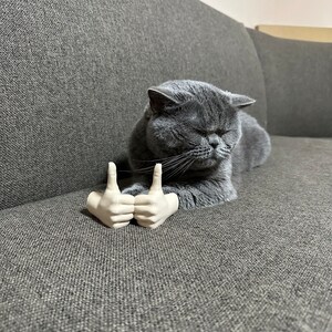 Arms for cats, cute cat costume prop, gift idea for animal lovers, social media cats, 3D printed, gag gift, gift for him or her