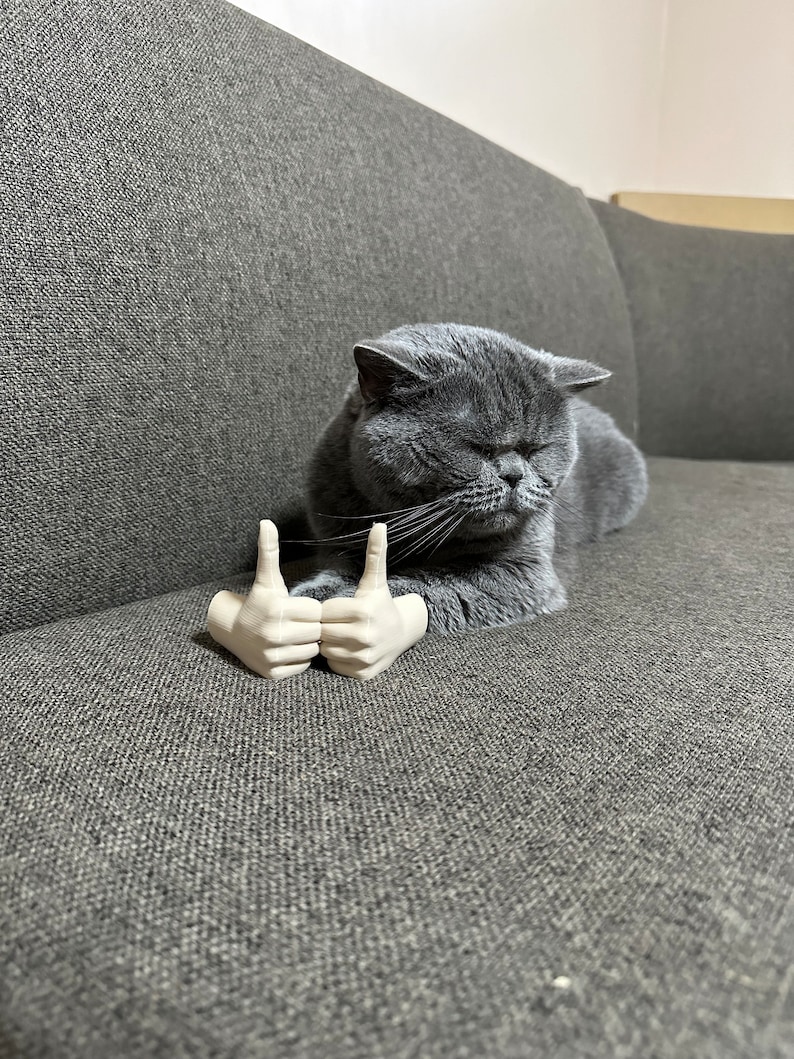 Arms for cats, cute cat costume prop, gift idea for animal lovers, social media cats, 3D printed, gag gift, gift for him or her
