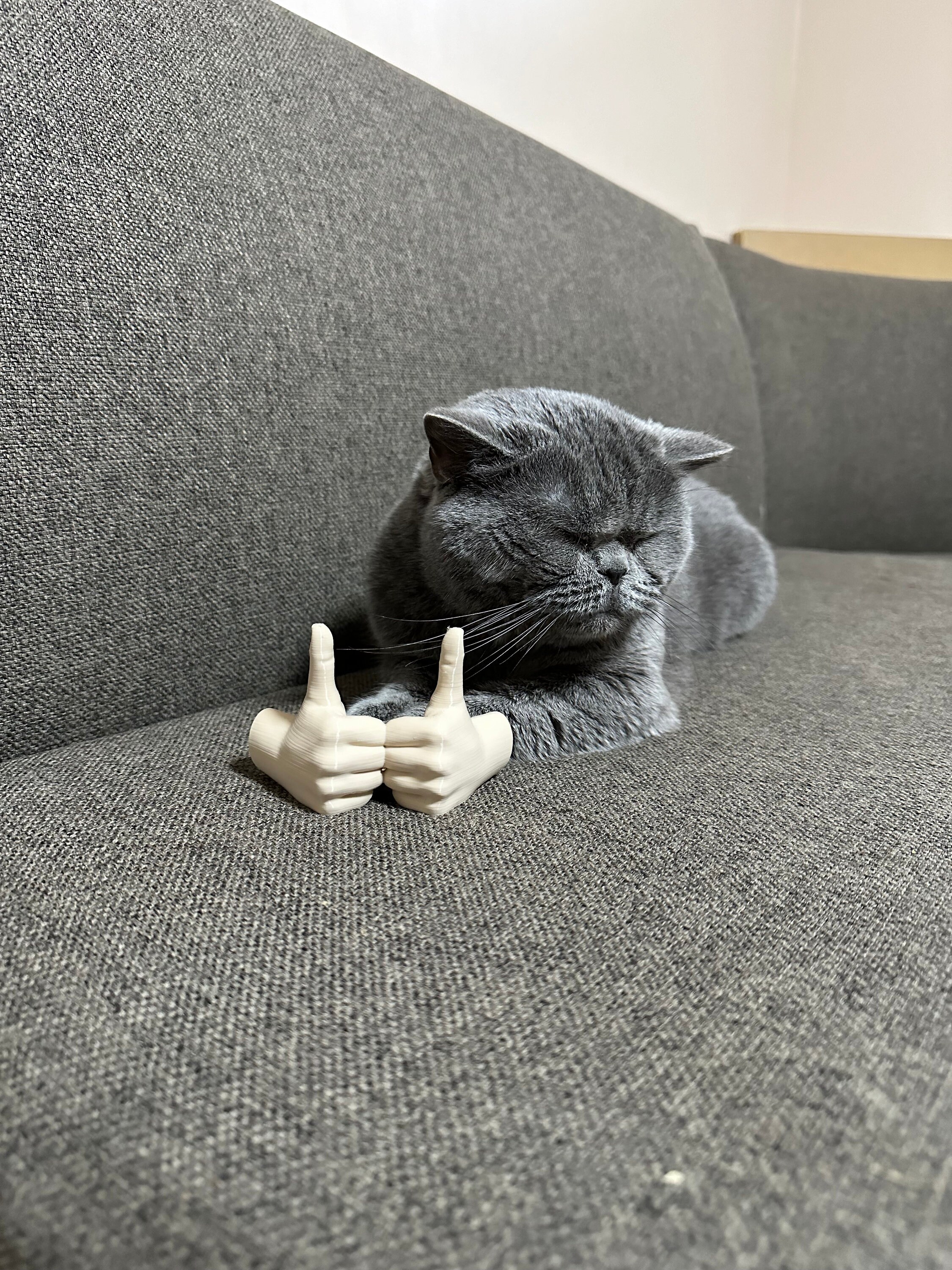 Bras Musclé Pour Chat – Accessoire D’Halloween Drôle, Cosplay Imprimé 3D Léger Et Réglable Pour Animal De Compagnie - 4