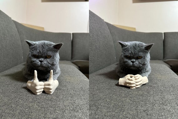 3D Printed Cat Arms: Funny Cat Costume Prop