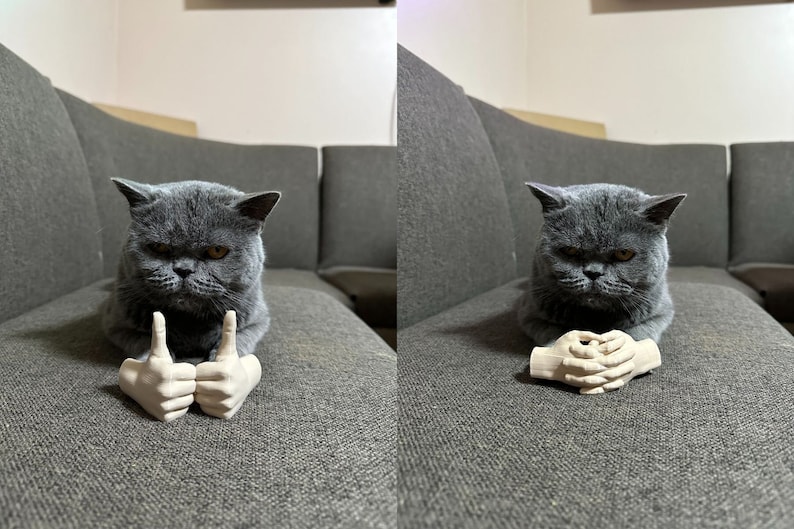 Arms for cats, cute cat costume prop, gift idea for animal lovers, social media cats, 3D printed, gag gift, gift for him or her
